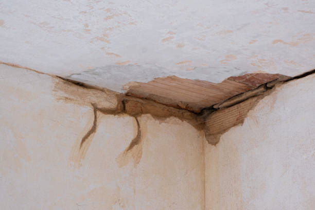 Best Commercial water damage restoration  in Fort Payne, AL