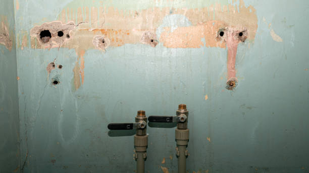 Best Fire Damage Restoration  in Fort Payne, AL
