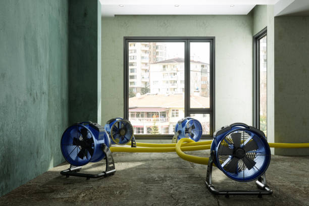 Best Water damage cleanup near me  in Fort Payne, AL